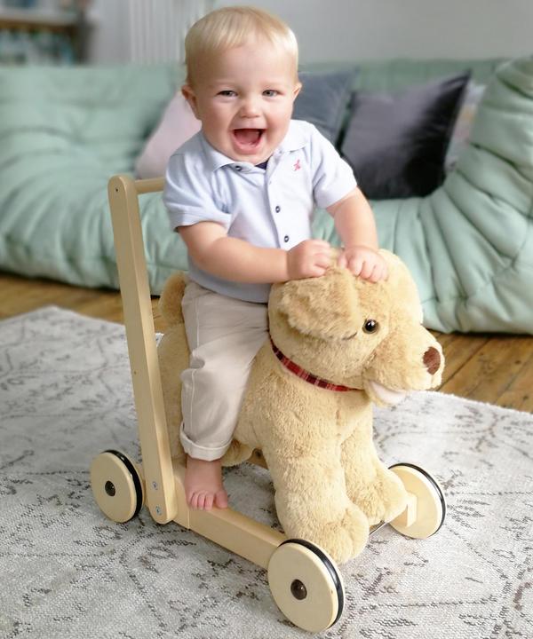 Actual product image little bird told me Dexter Dog Push Along