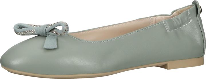Actual product image Nero Giardini Ballerinas (37)