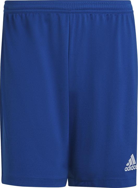 Actual product image adidas Entrada 22 Shorts Men (3XL)