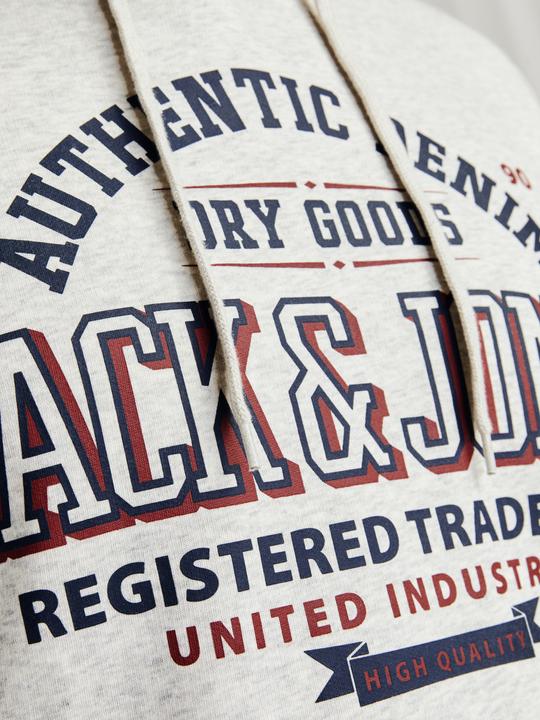 Actual product image Jack & Jones JJELOGO SWEAT HOOD 2 COL 24/25 NOOS PLS (5XL)