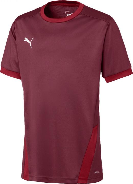 Image du produit Puma teamGOAL 23 Jersey jr-704160 (128)