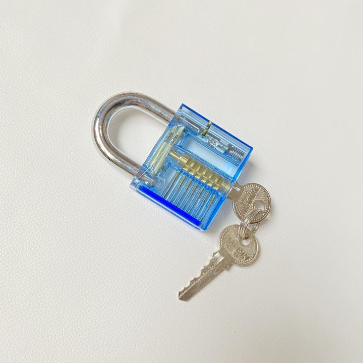 Werkstein Dietrich Lockpicking Set (Profile cylinder)