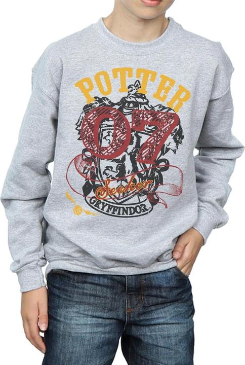Actual product image Boys Gryffindor Seeker Sweatshirt (152, 158)