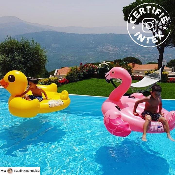 Actual product image Intex Flamingo Ride On