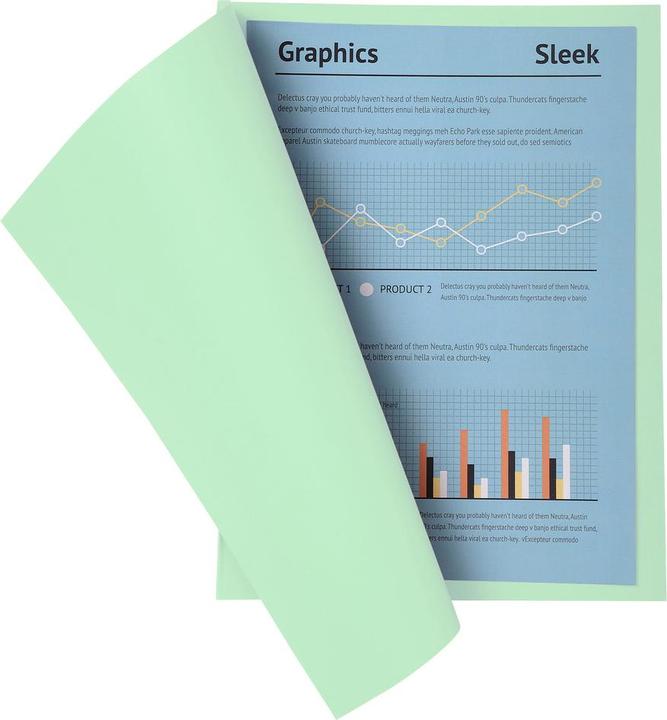 Actual product image Exacompta BAHIA 220 - File cover A4 (A4, 100 x)