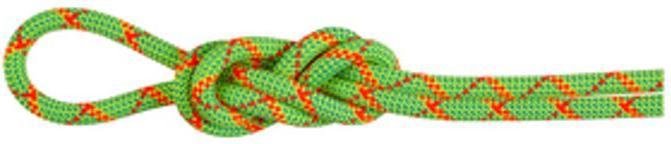 Vibrant Orange, halo-vibrant orange, Dry Standard