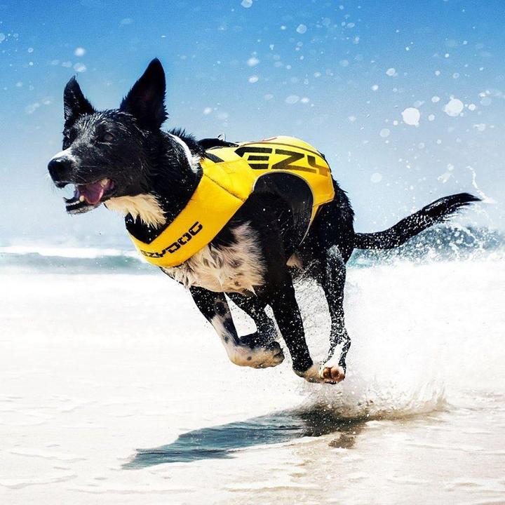 Produktbild EzyDog Life Jacket X2 Boost Yellow xs 7-11 kg (10, 11, Hundeschwimmweste)