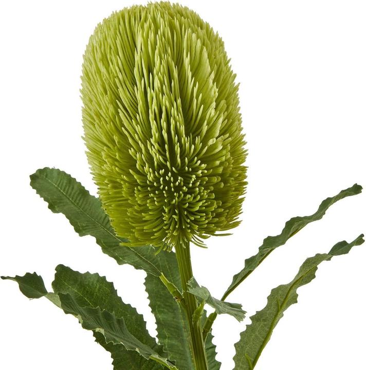 Image du produit Hill Interiors Kunstblume (65 cm)