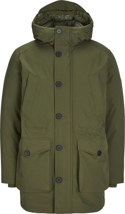Olive Night