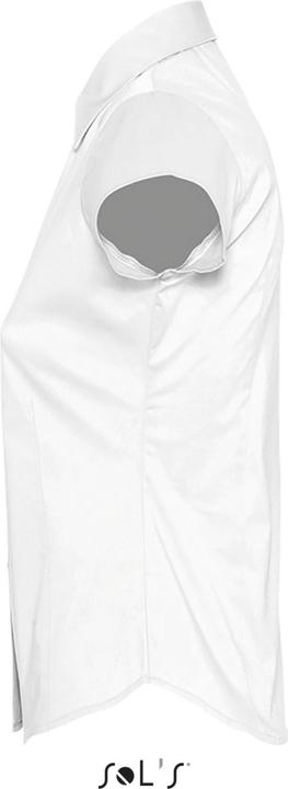Actual product image Sol's shirt so's excess (L)
