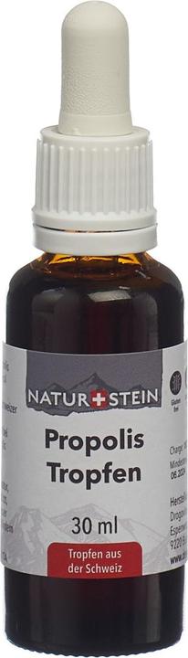 Actual product image Naturstein Propolis tincture (1 Piece, 80 g)