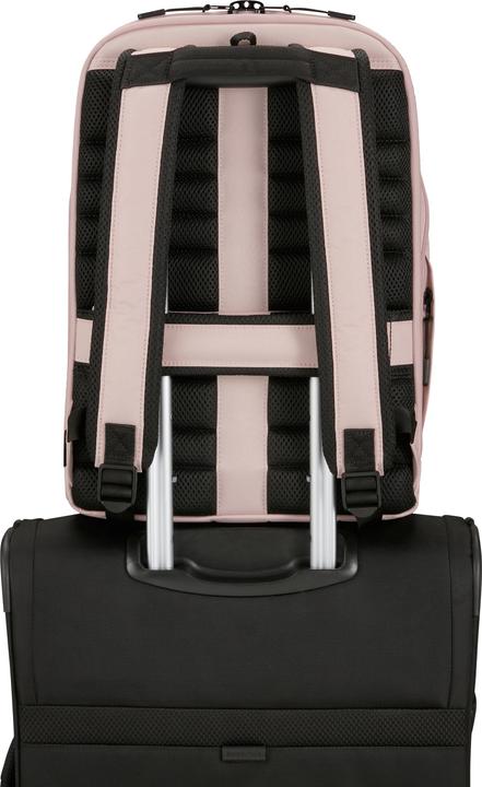 Actual product image Samsonite STACKD BIZ Laptop Backpack (15 l)