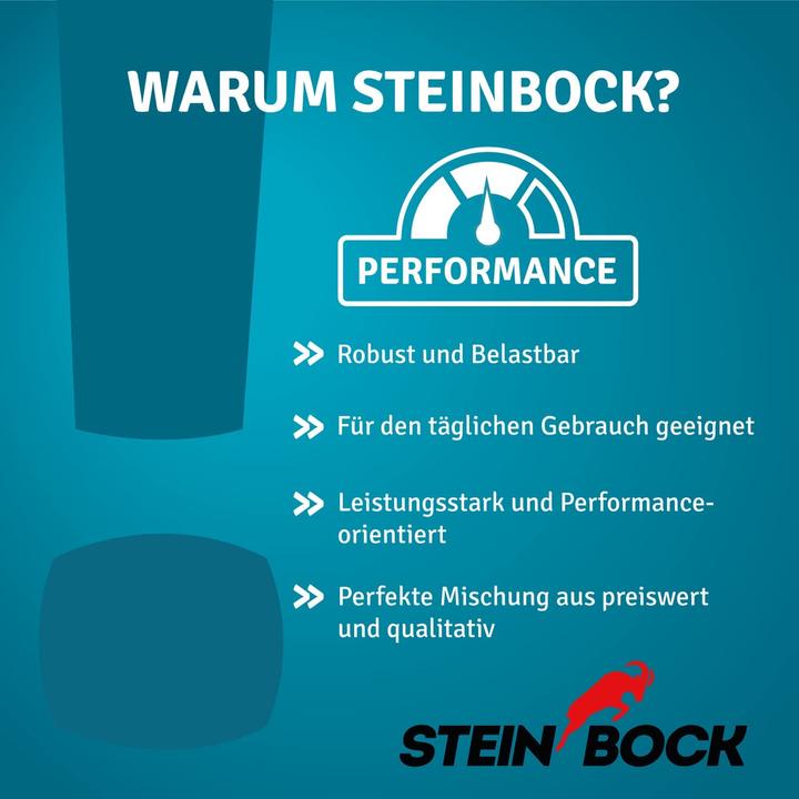 Produktbild Steinbock Kehrmaschine Turbo manuell