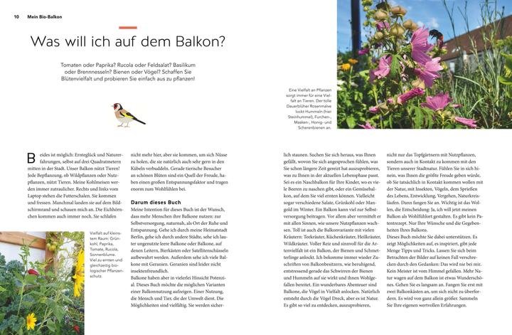 Immagine prodotto Mein Biotop auf dem Balkon (Tedesco, Birgit Schattling, 2020)