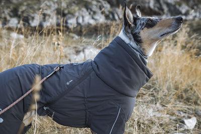 Actual product image Hurtta Extreme (50, Dog coat)
