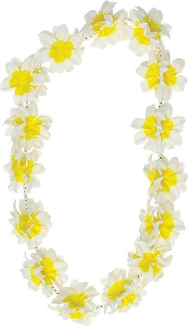 Actual product image Boland Collier de fleurs Hawaii - Hibiscus