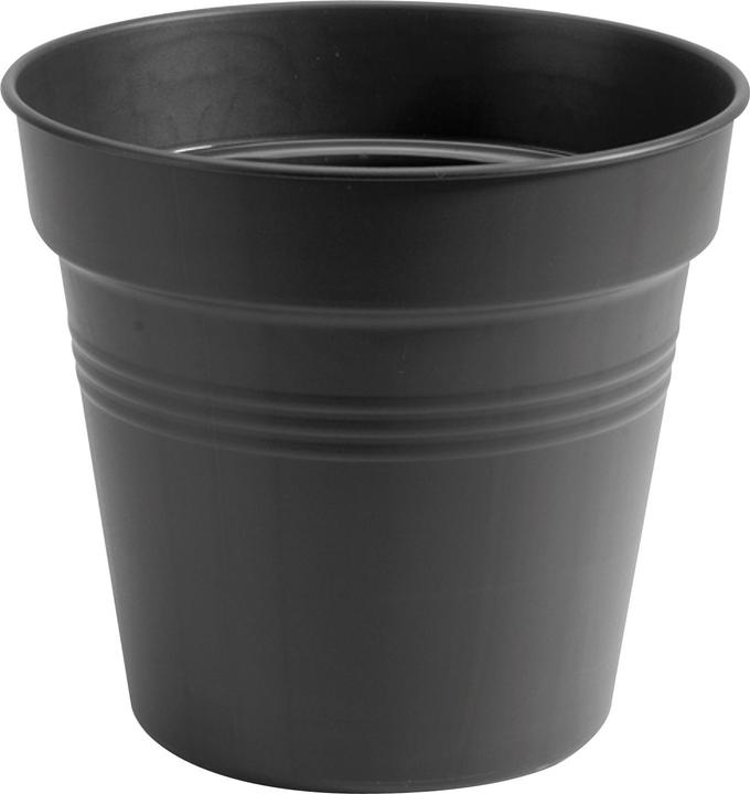Image du produit Elho Green Basics (19 cm)