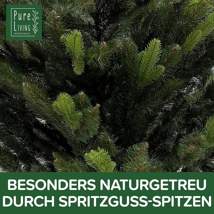 Image du produit Pure Living Interior Design Sapin de Nordmann (180 cm)