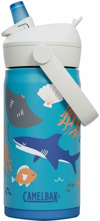 Ocean Life