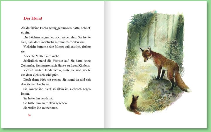 Produktbild Der Findefuchs (Deutsch, Irina Korschunow, 2021)