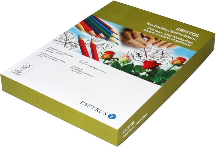 Image du produit Papyrus Bristol 50x70 180g extra-blanc (180 g/m², 10 x)