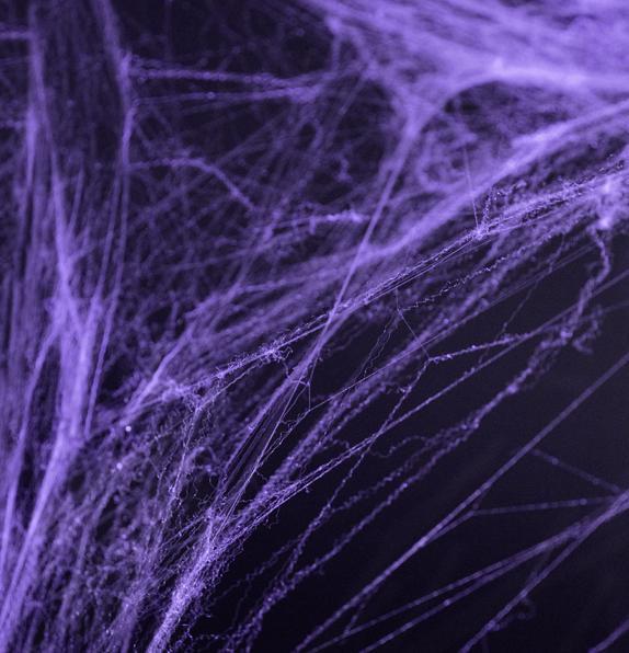 Produktbild Partydeco Spinnennetz Deko in Violett mit 2 Spinnen