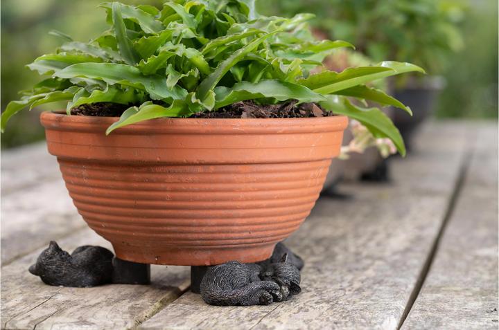 Image du produit Jardinopia Potty Feet Chat qui dort, lot de 3