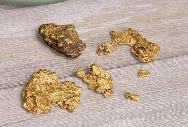 Actual product image Garrett Gold prospector set