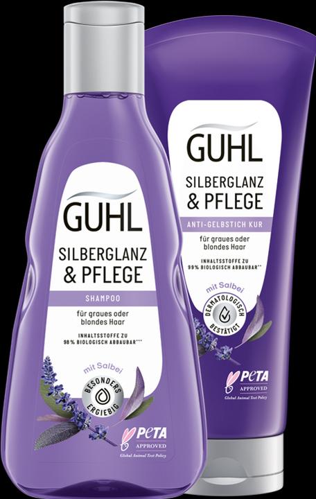 Produktbild Guhl Silberglanz & Pflege (200 ml)
