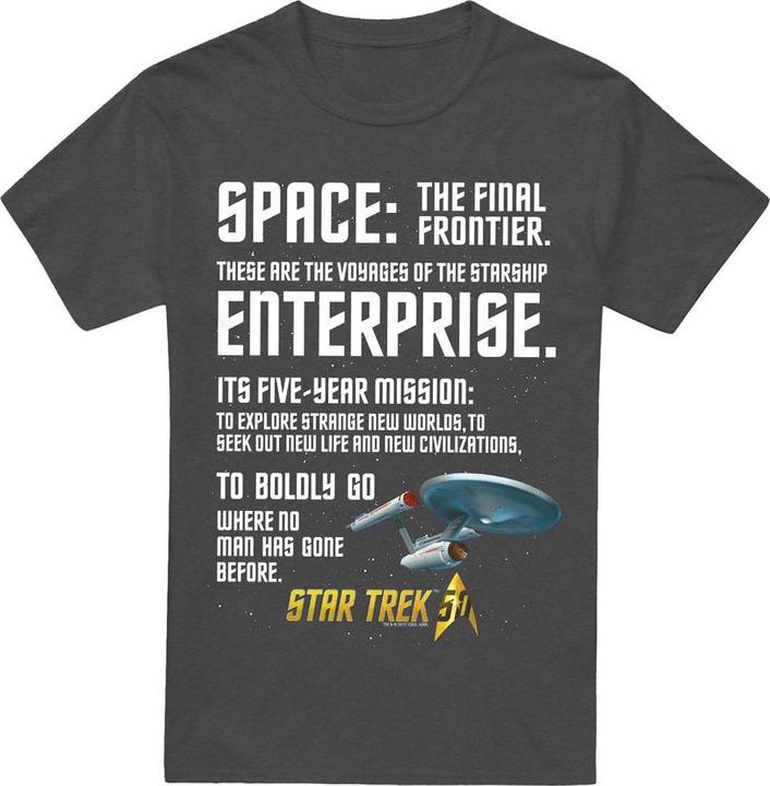 Actual product image Unisex Adult Intro T-Shirt (M)