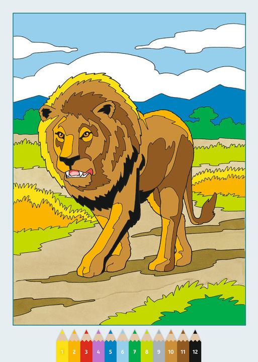 Image du produit Ravensburger Album de coloriage Malen nach Zahlen