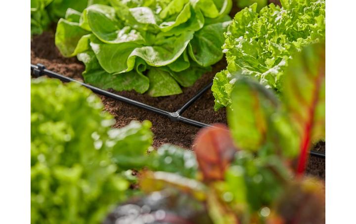 Actual product image Gardena T-piece 4.6 mm (Drip irrigation connector + branch)