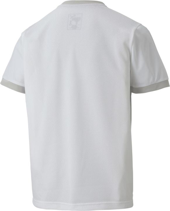Actual product image Puma teamGOAL 23 Jersey jr-704160 (140)