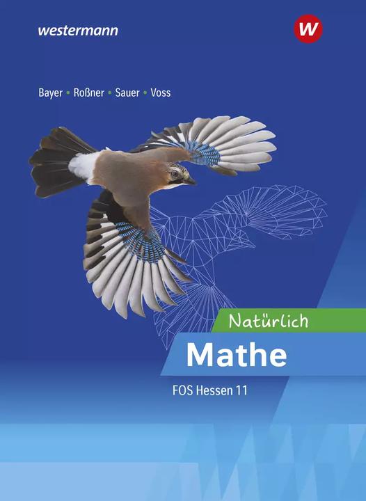 Produktbild Mathematik / Mathematik für die Fachoberschulen in Hessen (Deutsch, Michael Sauer, Torge Voss, Marc Rossner, Margrit Bayer, 2022)