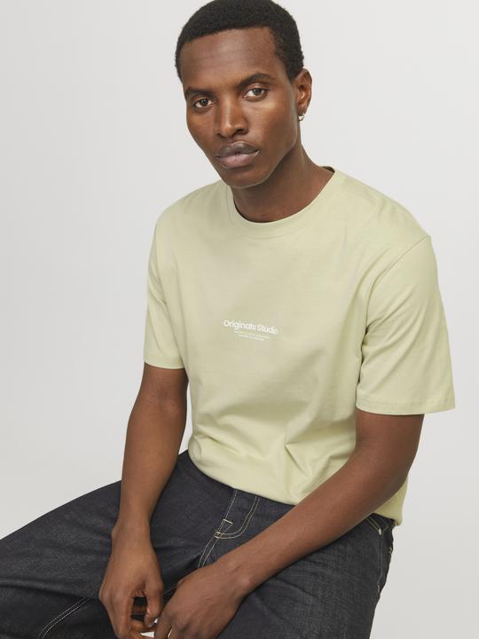 Actual product image Jack & Jones Jorvesterbro Tee Ss Crew Neck Noos (M)