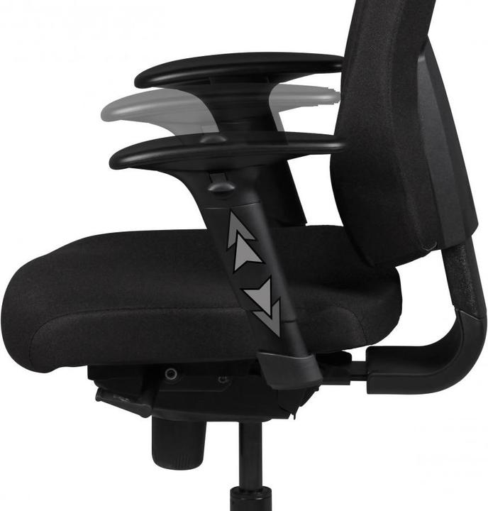 Actual product image Amstyle Darius