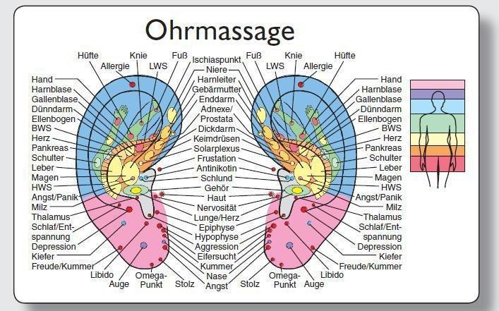 Image du produit Carte de réflexologie "Oreille