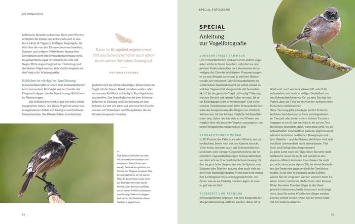 Produktbild Die magische Welt unserer Vögel (Deutsch, Matthias Futterer, Hannes Bonzheim, 2022)