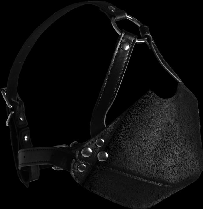 Immagine prodotto Ouch! Head Harness with Mouth Cover and Breath Ball Gag