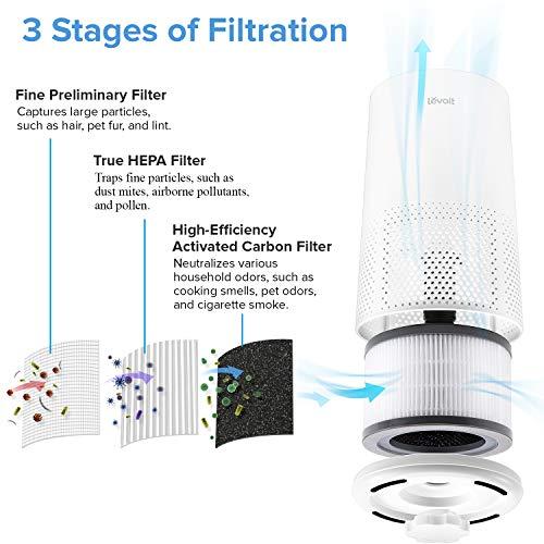 Image du produit Levoit purificateur d'air (21 m²)