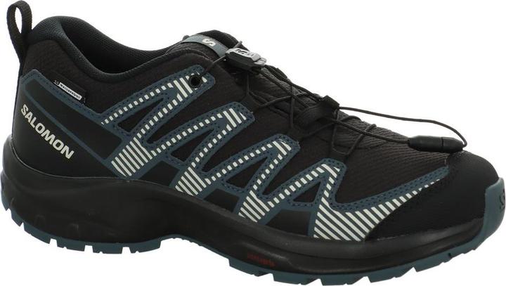 Salomon XA Pro V8 CSWP J