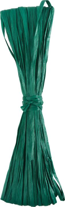 Actual product image Efco Viscose raffia, matt, 20m