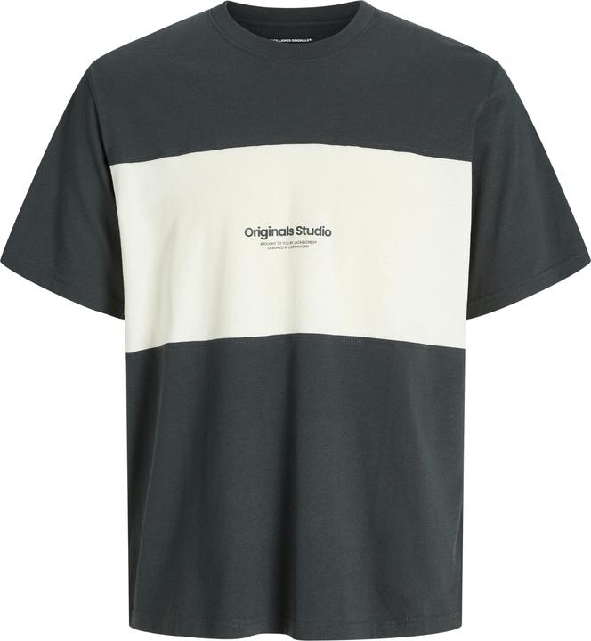 Produktbild Jack & Jones Jorvesterbro Block Tee Ss Crew Styd Aw24 (XXL)