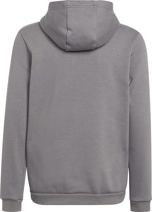 Image du produit adidas Sweat à capuche Entrada 22 enfants (116)