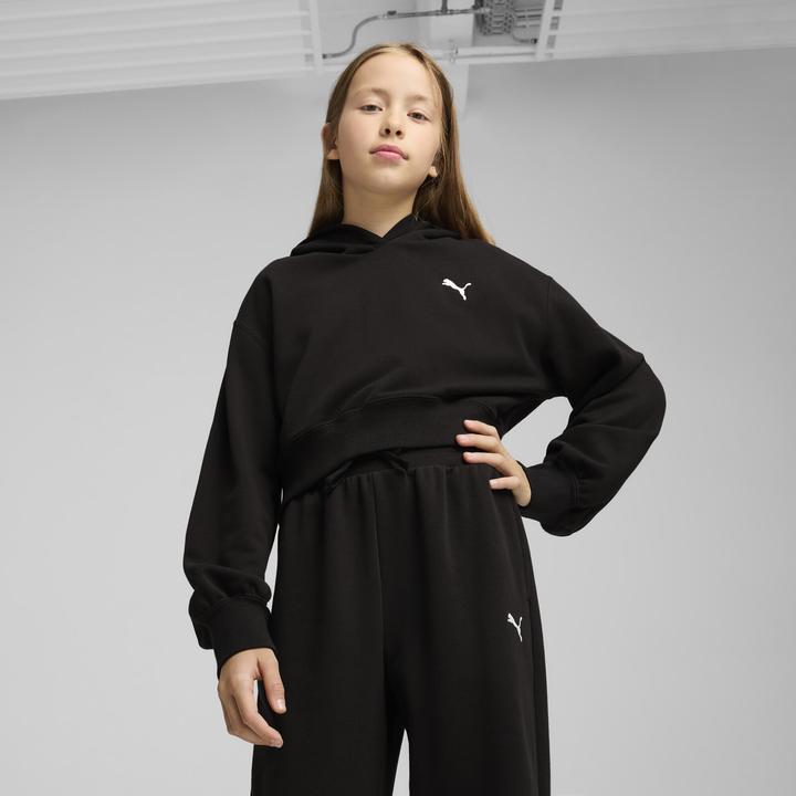 Image du produit Puma WARDROBE ESS Short Length Hoodie TR G (164)