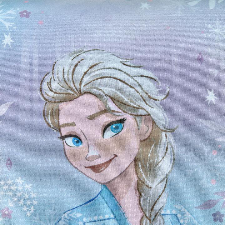 Actual product image Scooli Disney Frozen 5-piece school desk set (18 l)