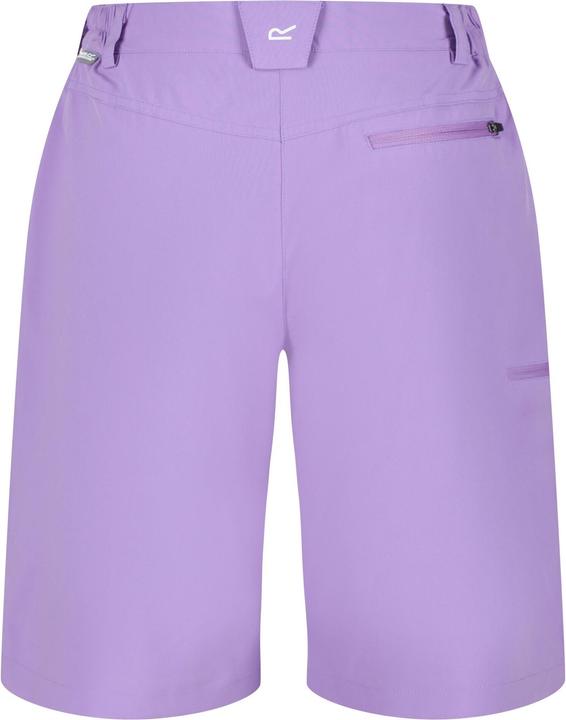 Actual product image Regatta Xert Shorts (42)
