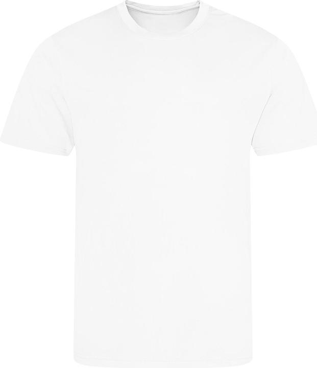 Blanc arctique