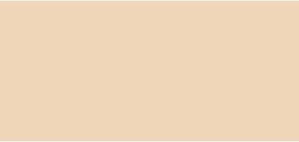 Actual product image L'Oréal Paris Infaillible (10 Bright Nude)