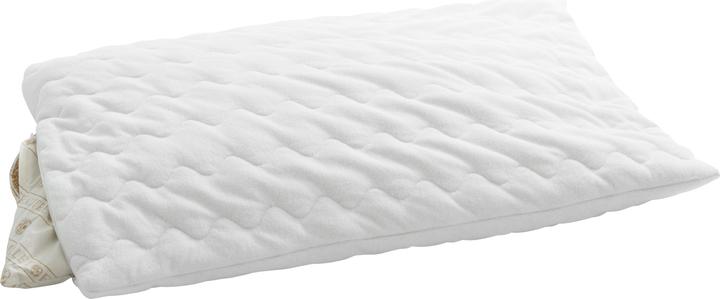 Billerbeck millet cushion